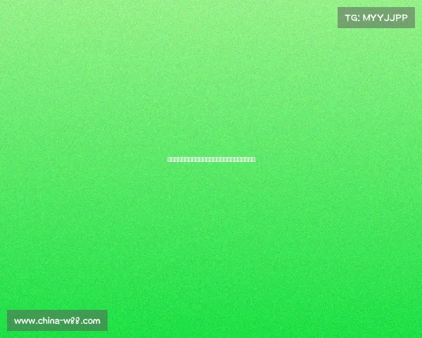 追梦未止步：达洛特与布鲁诺告别欧洲杯，期待下届再战